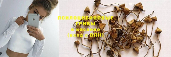 ECSTASY Алзамай