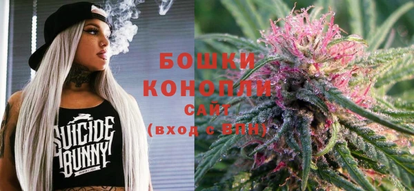 ECSTASY Алзамай