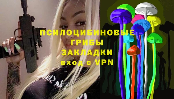 ECSTASY Алзамай