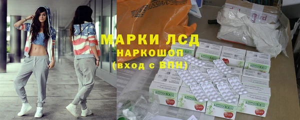 ECSTASY Алзамай